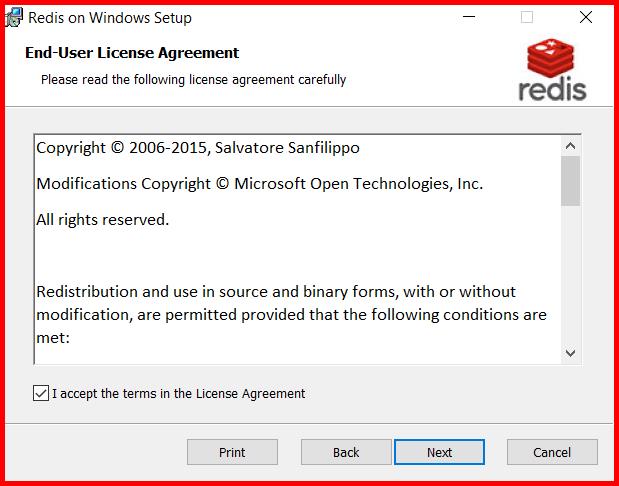 Picture showing the window to accept user agreement in the redis agent installation wizard